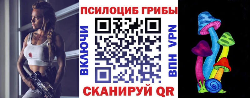 Галлюциногенные грибы Psilocybe  Сызрань 